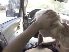 Car Blowjob Gets Him Hard For This Blonde Amateur